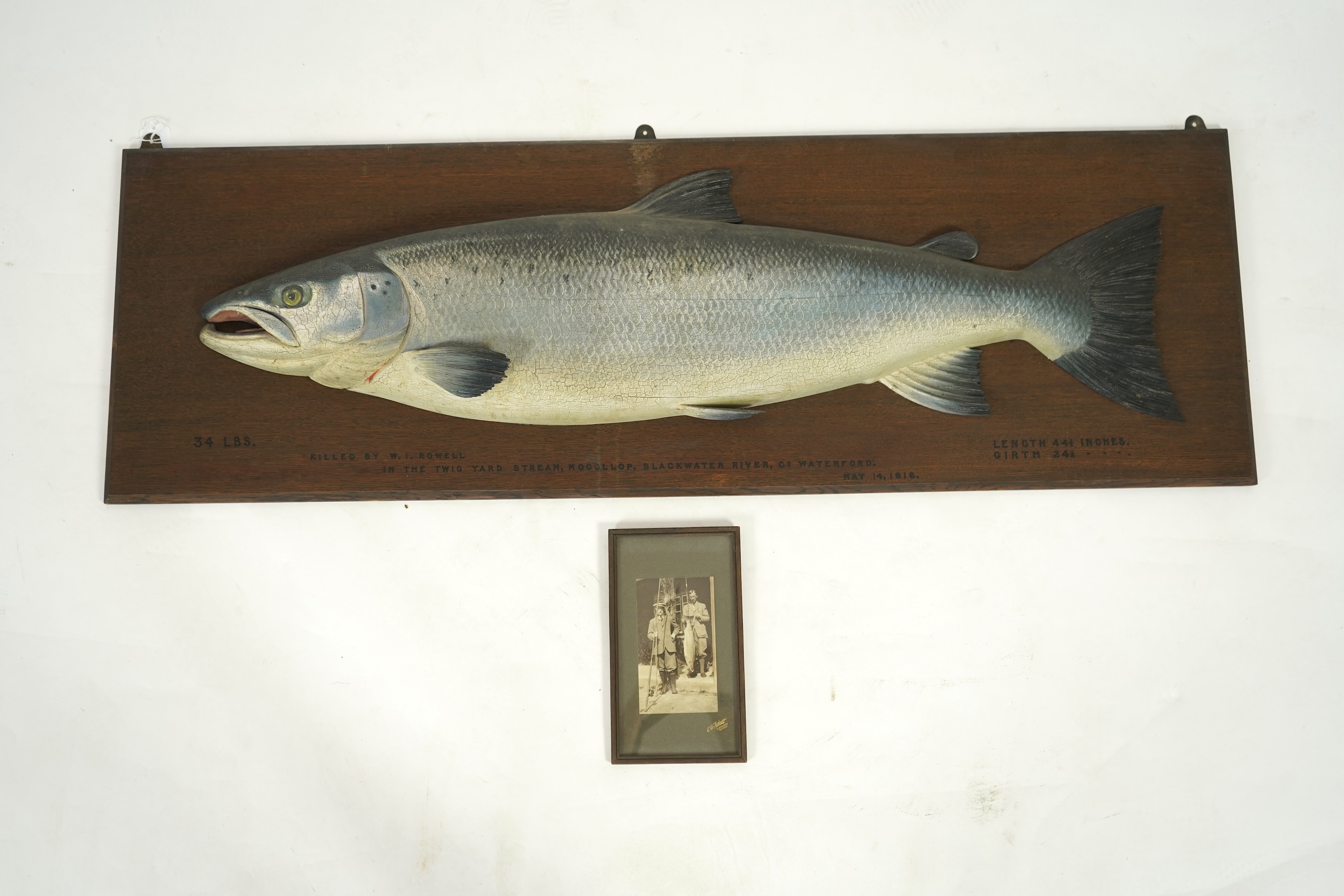 Attributed to John and Dhuie Tully of Fochabers: A painted half block model of an Atlantic Salmon, dated 1916